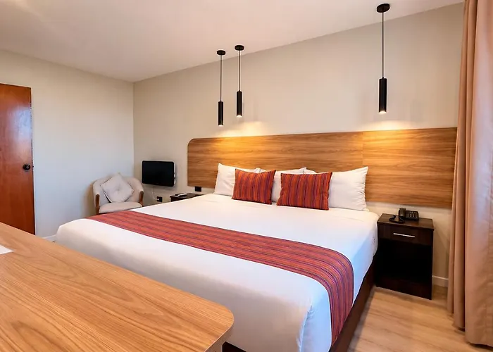 ホテル San Pedro Plaza 3*